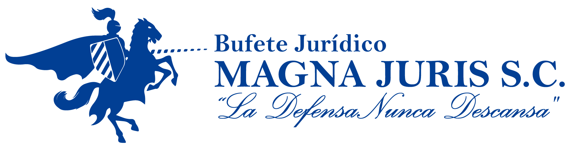 Magna Juris International
